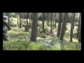 Small Down Hill Movie.