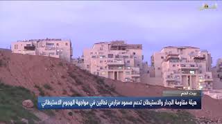 بيت لحم - هيئة مقاومة الجدار والاستيطان تدعم صمود مزارعي نحالين في مواجهة الهجوم الاستيطاني