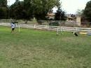 Jack Open Jumpers Course
