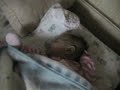 Los hmnitos Zuniga Benavides durmiendo