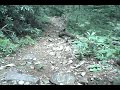 Farlow Gap trail in Pisgah VIO POV1 Farlow Gap trail in Pisgah VIO POV1