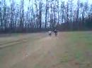 garino ch 50 vs husqy 125