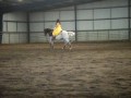 2010 Freestyle Reining