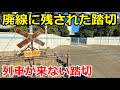 【乗りものchコラボ企画】神奈川臨海鉄道 千鳥線を探索しました。