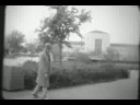 The Flasher The Flasher