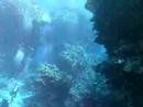 Malahi Reef Malahi Reef