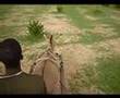 farming in africa 1