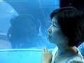 Japan2006 white whale