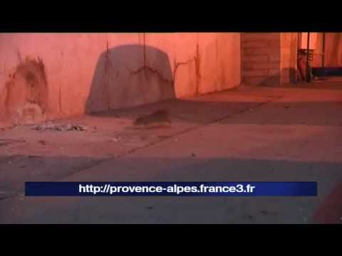 Image de prévisualisation YouTube