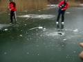 Pomor ribe u Svedskoj 31.12.2008