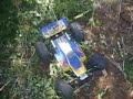 buggy funny