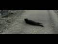videos de Mucca alessandrina ad Aosta