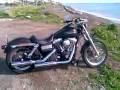 videos de STREET BOB  2007