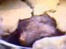 THE VIDOP APPROVE COPTIC ORTHODOX CHURCH BELIVES WHILE THE COMMUNION IN HOLY MASS OBE OF THE BREAD PEICE CONVERTED IN SHAPE AS TRUE FLESH OF JESUS