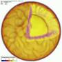 Degree-One Mantle Convection