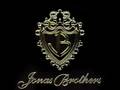 16.WeGotTheParty-JonasBros-BonusJonasEditionFt HannahMontana
