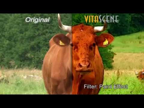 ペイントエフェクト