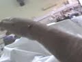 la mano de frankenstain