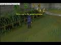 Easy money on runescape using grand exchange!!!!