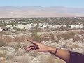 Palm Springs