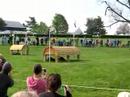 rolex-kentucky-2007-highlights.html