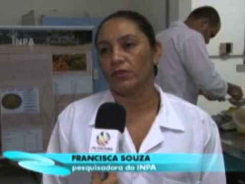 Descoberto valor nutricional da casca da pupunha