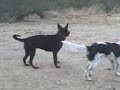 jacinto jugando con sus amigos
