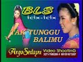 TAK TUNGGU BALIMU - BLS MUSIC