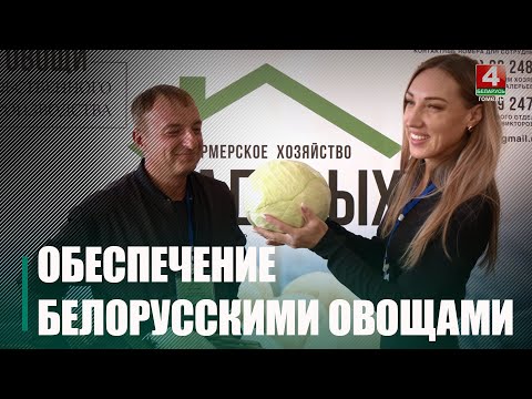 За 2024 год продажи отечественных овощей выросли на 30% видео