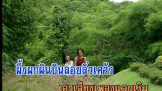 โลกของผึ้ง (พุ่มพวง ดวงจันทร์)