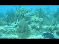 Uruguay Video