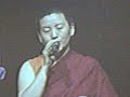 ani ch�yin doelma