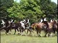 IHA Drill Team Americana Fair