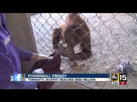 powerball powerball