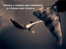 Educação e Vida