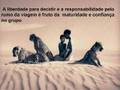 Educação e Vida