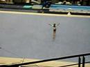 Championnat de France Gymnastique
