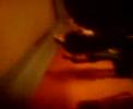 Mile Kitic u ax arenu (zivinice)