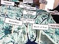 A model river basin A model river basin