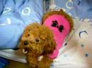momoB ?????@20080118