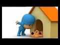 pocoyo puppy love
