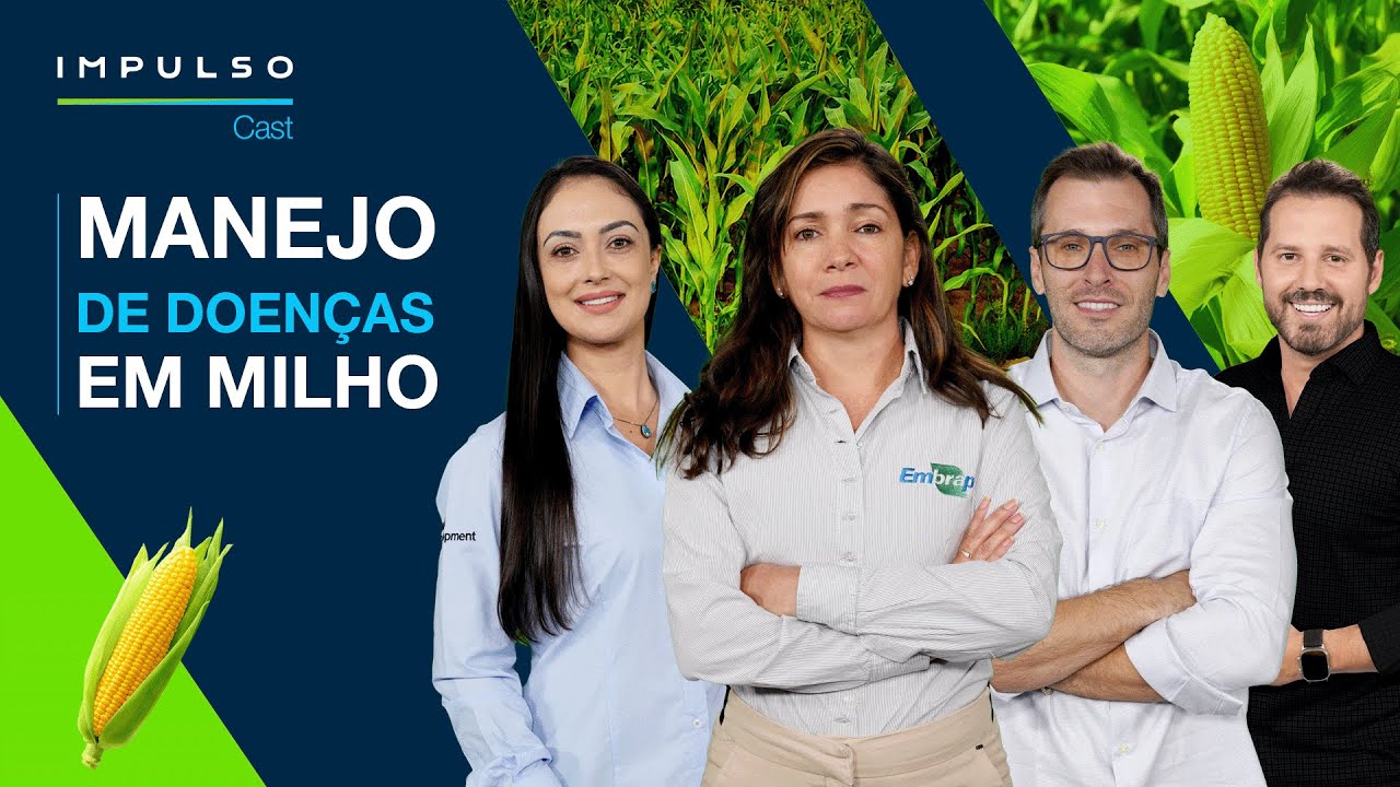 Doenças fúngicas no milho: evite prejuízos! | Impulso Cast EP. 27