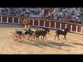 CONCURSO ENGANCHES FUENGIROLA 2008 CONCURSO ENGANCHES FUENGIROLA 2008