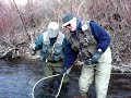 Fly Fishing Utah\