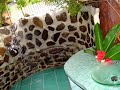 Tahiti vacation rental honeymoon paradise Tahiti vacation rental honeymoon paradise