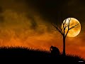 Zindagi Ye [Rahat Fateh Ali Khan] {Dil Kabaddi}
