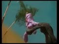 ��� �������� �������� - ��� ����� ���� ���� ������ ����� 2