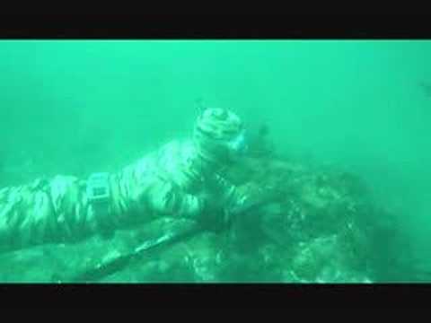 spearfishing in the channel islands