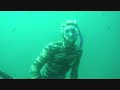 spearfishing in the channel islands