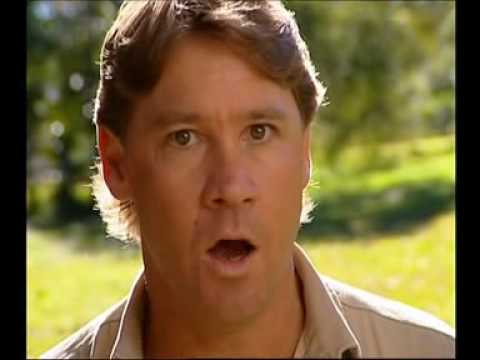 Steve Irwin - Most Dangerous Encounters (Part 12)